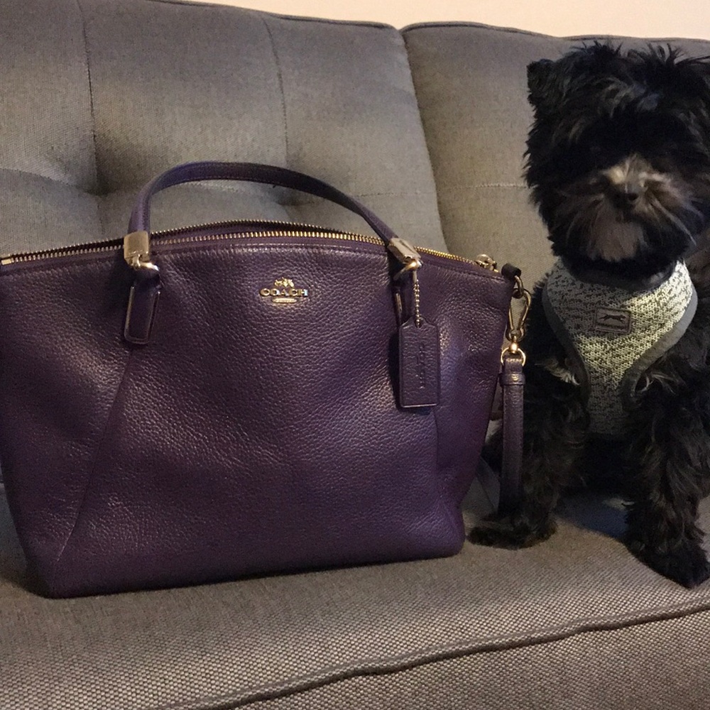 Coach Bag - Purple